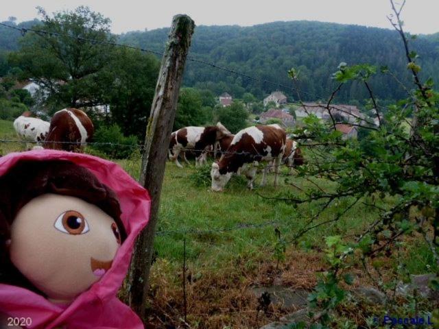 Gite Rural Les Maires D'Avaux Saint-Bresson 외부 사진