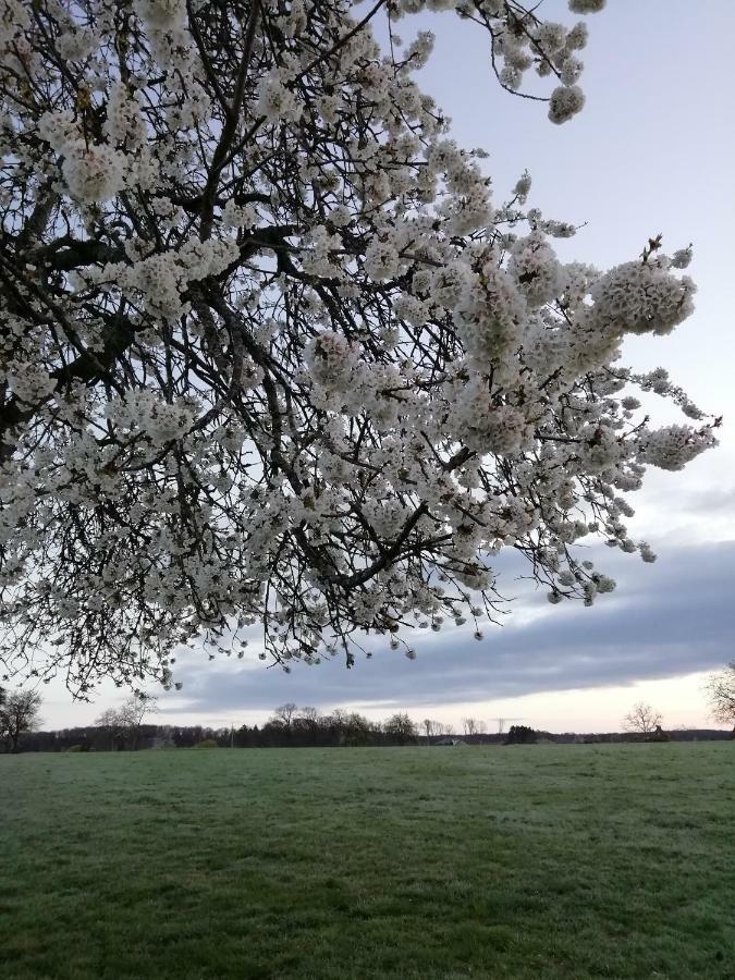 Gite Rural Les Maires D'Avaux Saint-Bresson 외부 사진